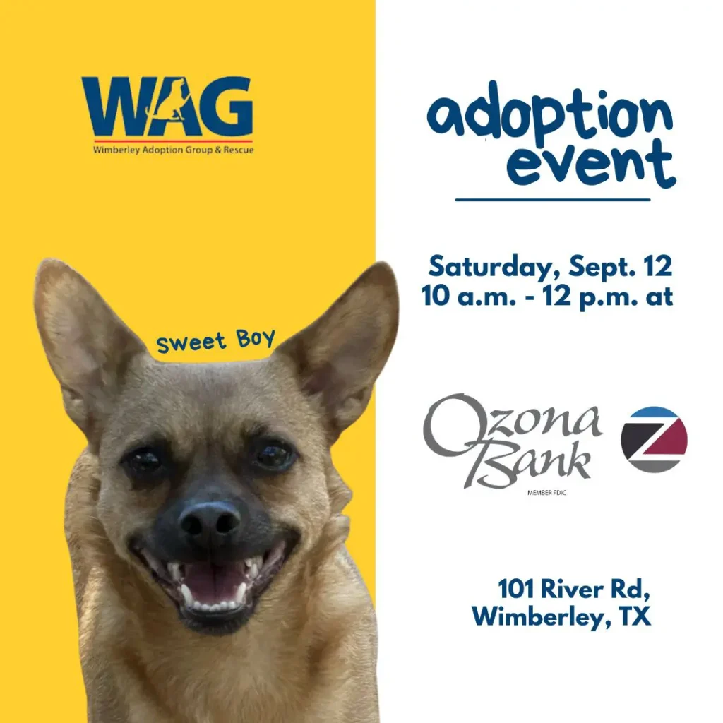 WAG Rescue adoption event flyer: Saturday, Sept. 12, 10 a.m. to 12 p.m.