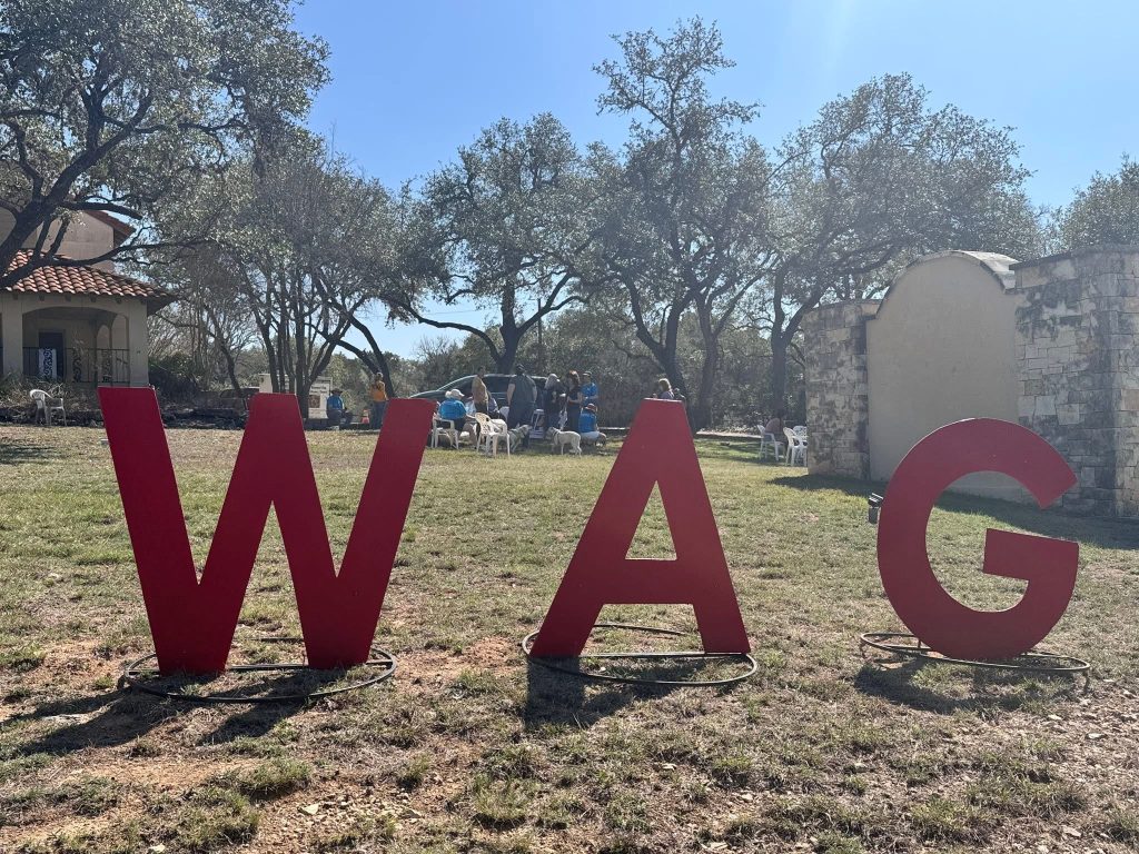 Large red WAG letters standing on the lawn at the WAG Rescue refuge